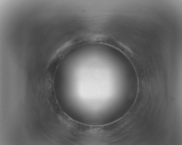 X0000080201447200612152028