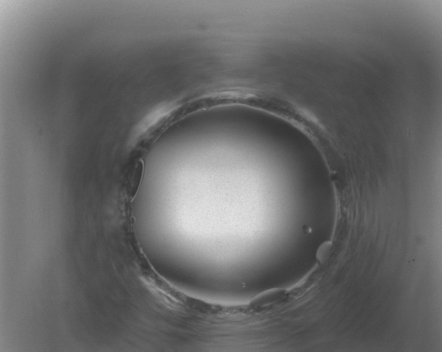 X0000080201448200612152028