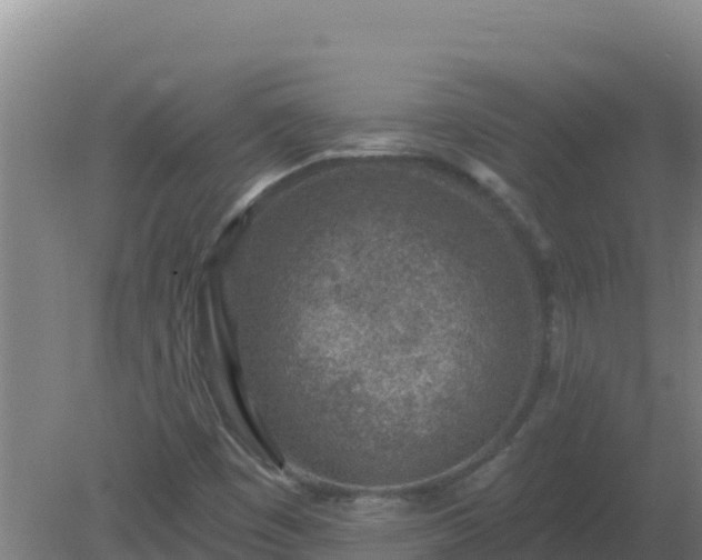 X0000080201449200612152028