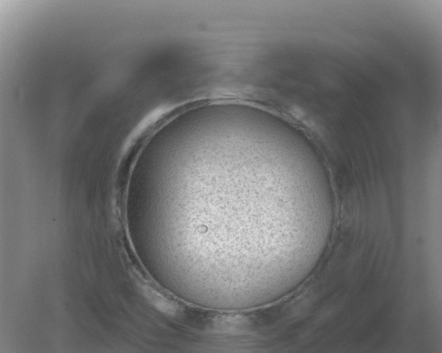 X0000080201454200612152028