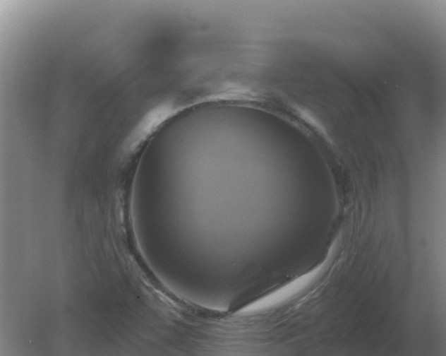 X0000080201455200612152028