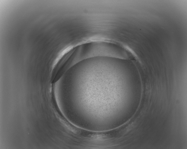 X0000080201461200612152027