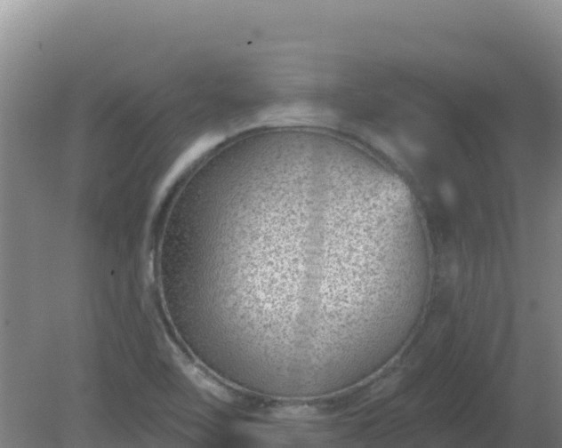 X0000080201462200612152027