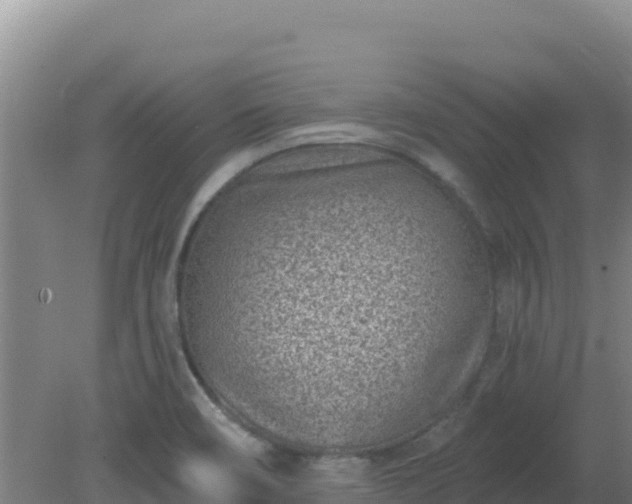 X0000080201466200612152027