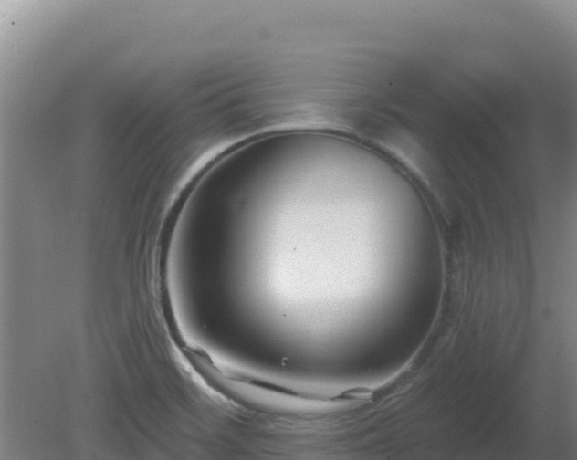 X0000080201468200612152027