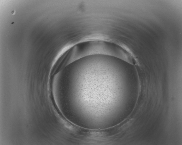 X0000080201469200612152027