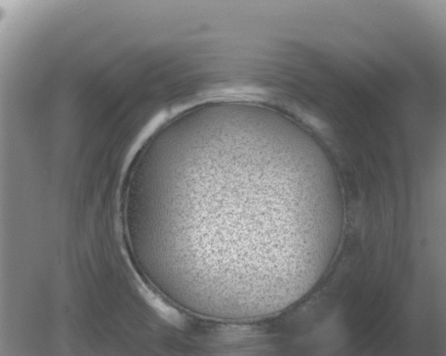 X0000080201470200612152027