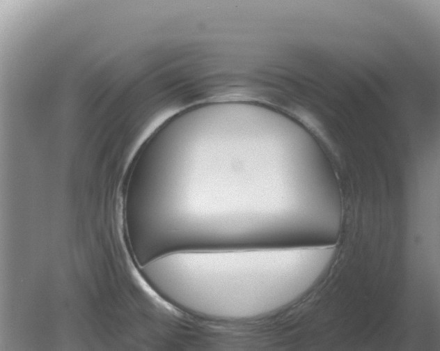 X0000080201476200612152027