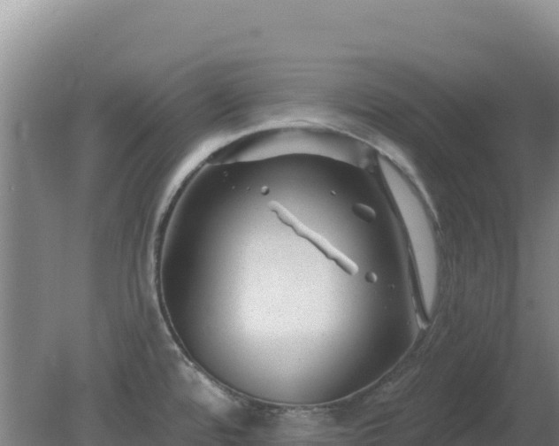 X0000080201480200612152027