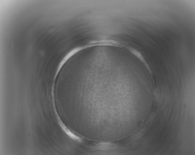 X0000080201482200612152027