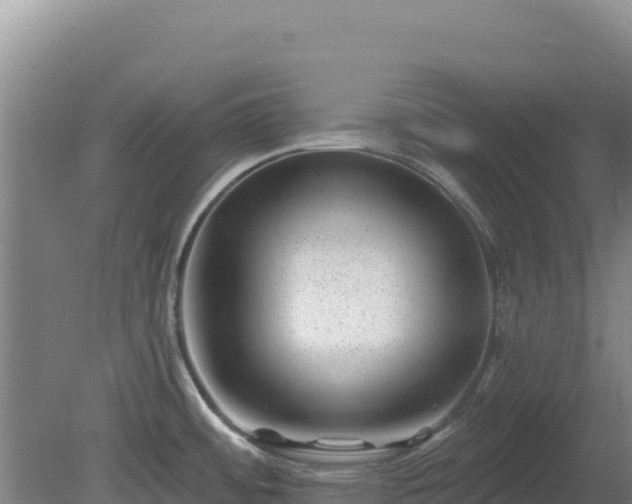 X0000080201484200612152027