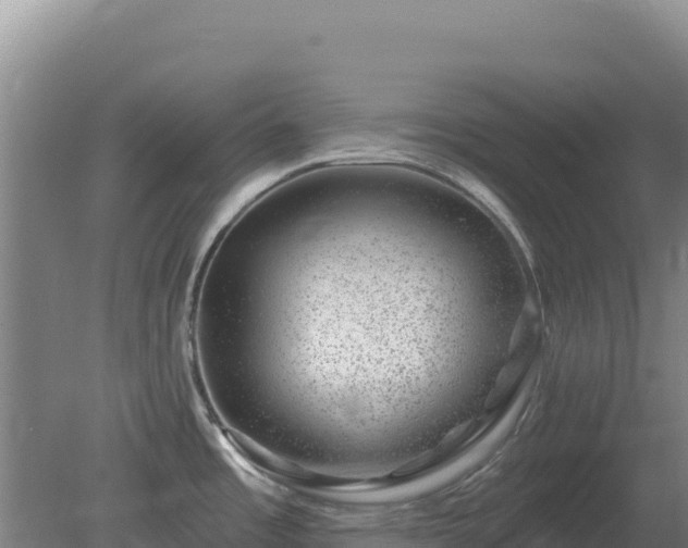 X0000080201485200612152027