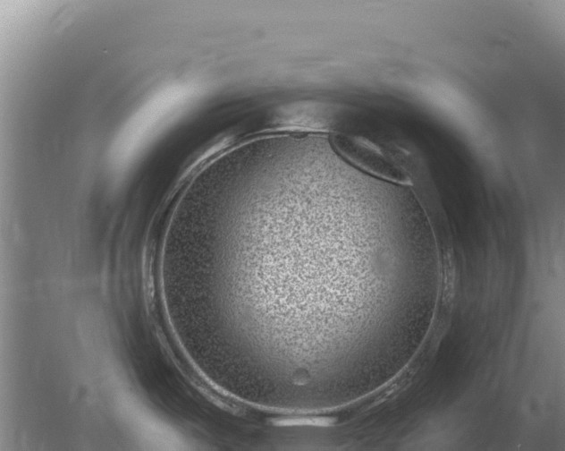 X0000080201487200612152027