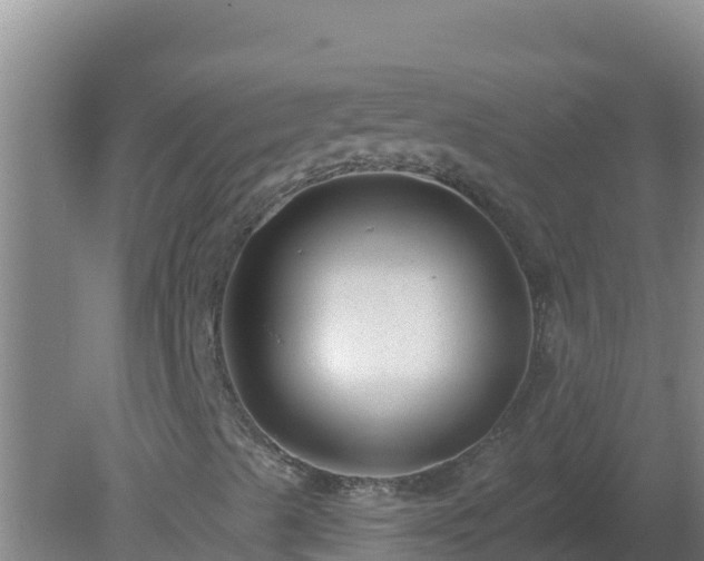 X0000080201489200612152026