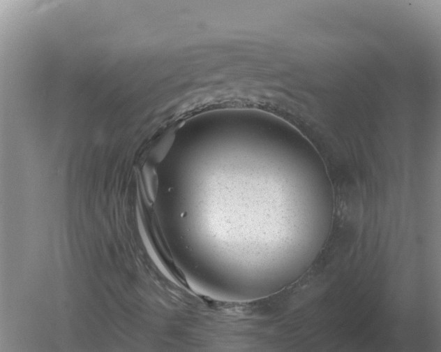 X0000080201490200612152026