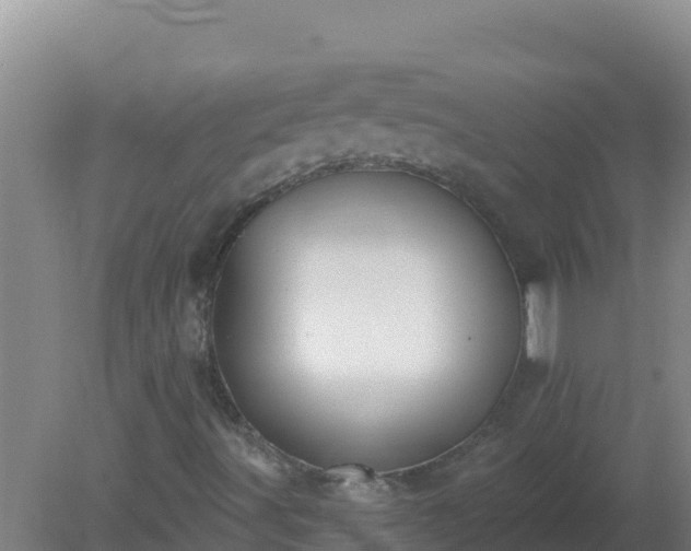 X0000080201491200612152026