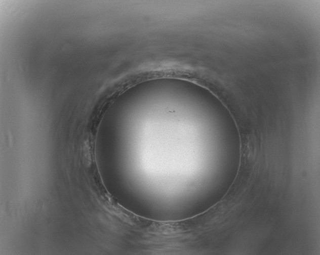 X0000080201493200612152026