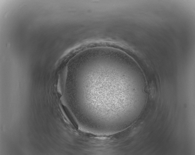 X0000080201494200612152026