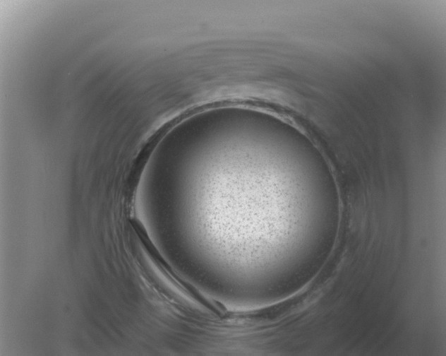 X0000080201497200612152026