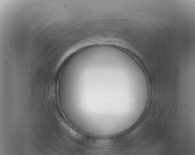 X0000080201498200612152026