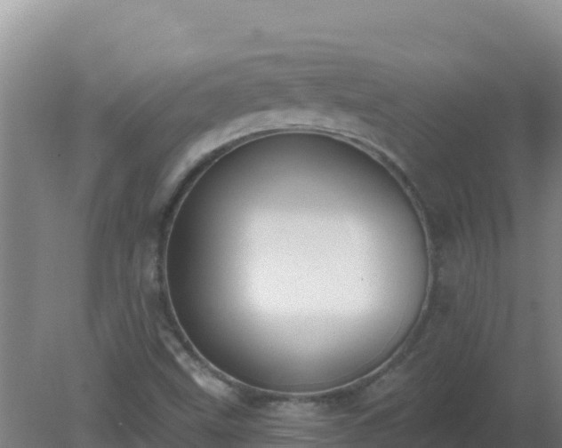 X0000080201499200612152026