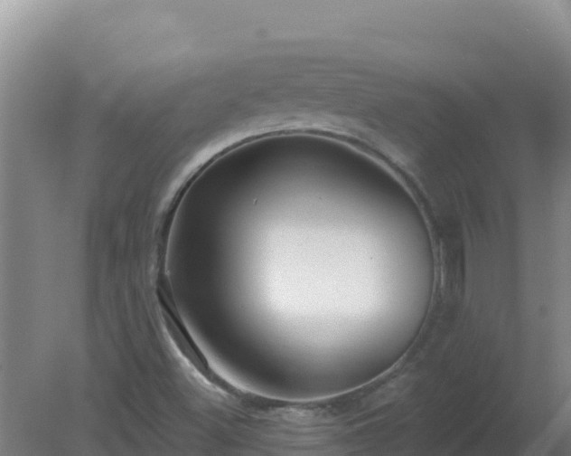 X0000080201500200612152026