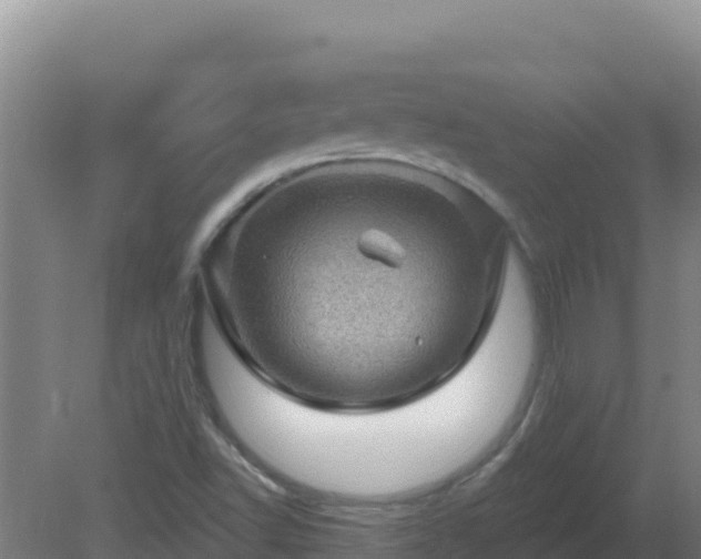 X0000080201502200612152026