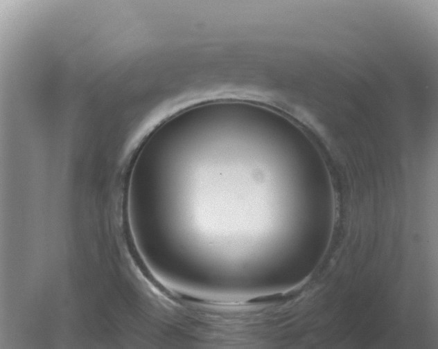 X0000080201504200612152026