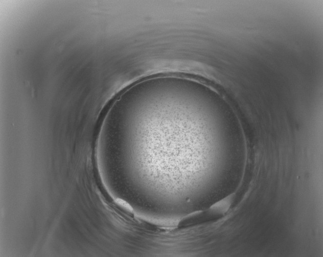 X0000080201505200612152026