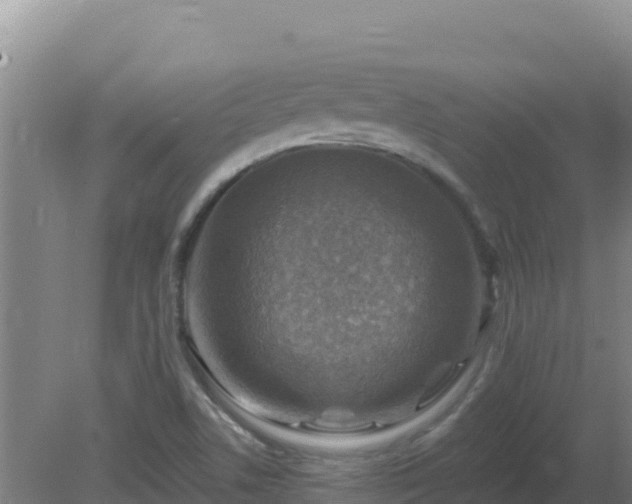 X0000080201506200612152026