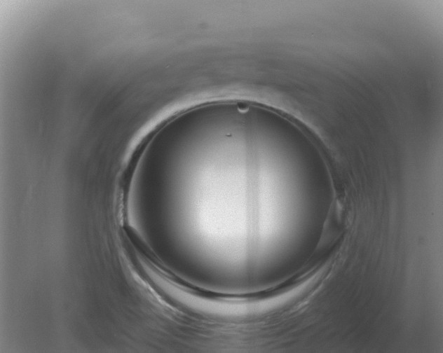 X0000080201510200612152027