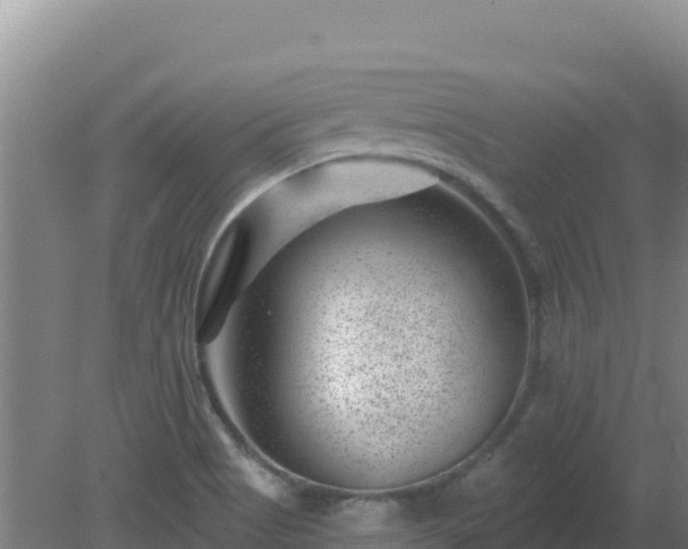 X0000080201513200612152027