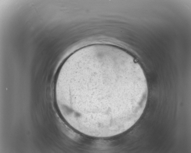 X0000080201514200612152027