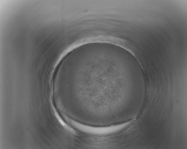 X0000080201515200612152027