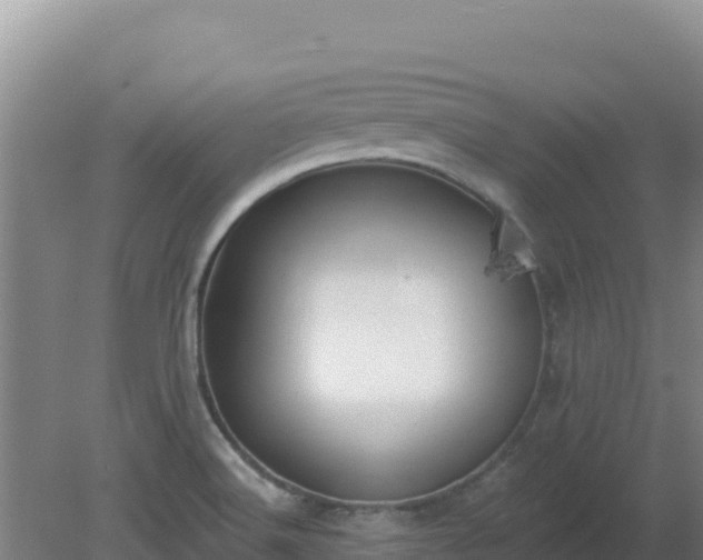 X0000080201516200612152027