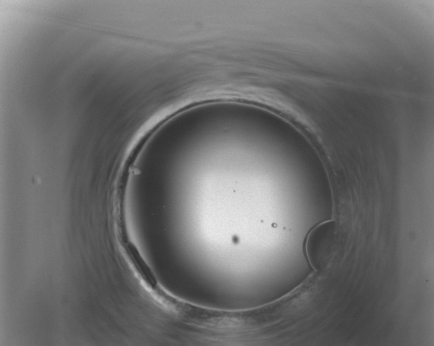 X0000080201517200612152027