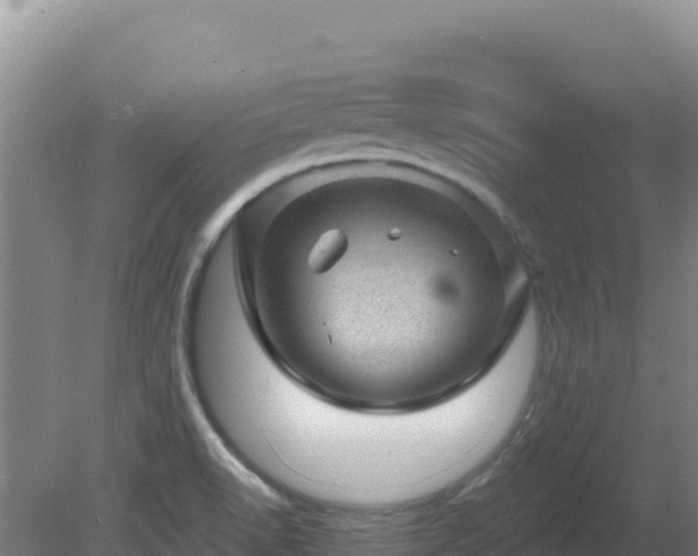 X0000080201518200612152027