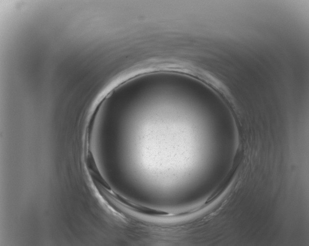 X0000080201520200612152027