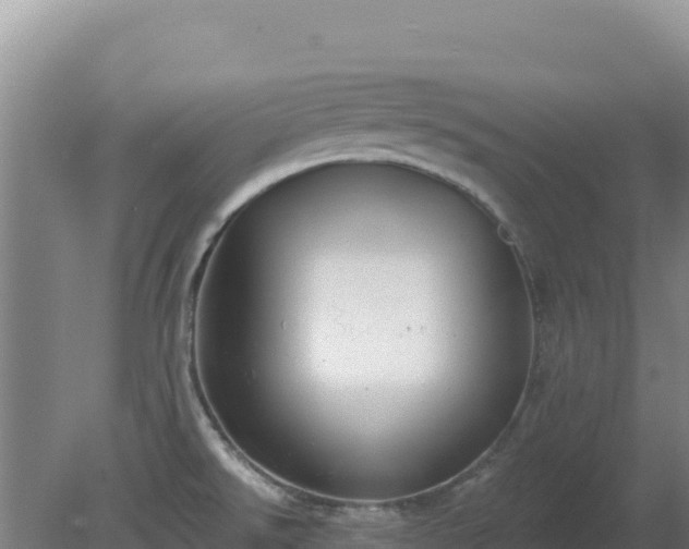 X0000080201526200612152027