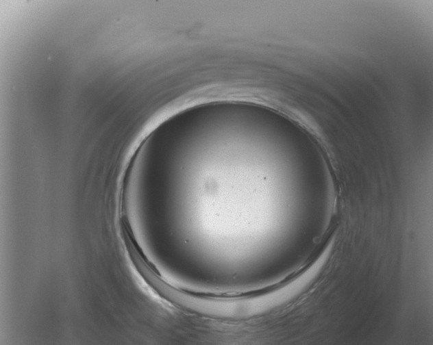 X0000080201528200612152027