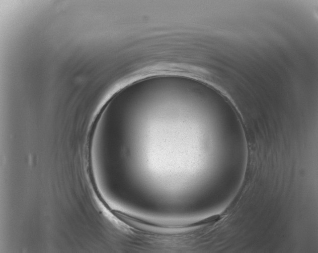 X0000080201531200612152027