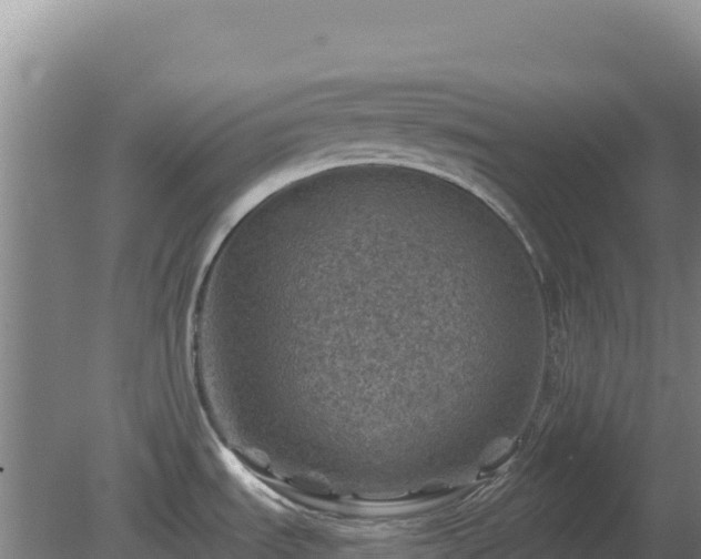 X0000080201535200612152027