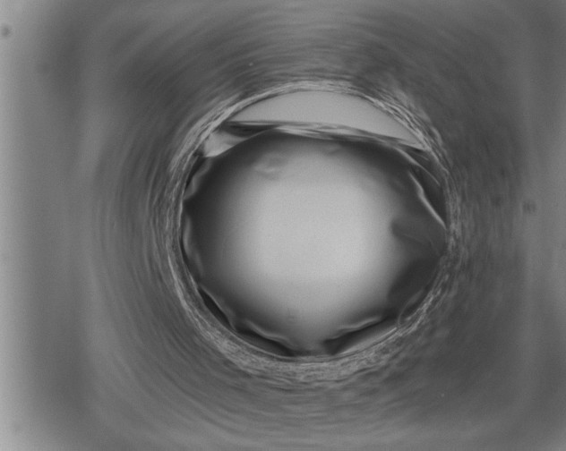 X0000080200001200612221417