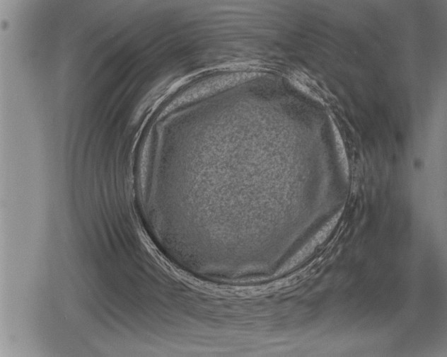 X0000080200002200612221417