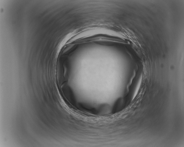 X0000080200003200612221417