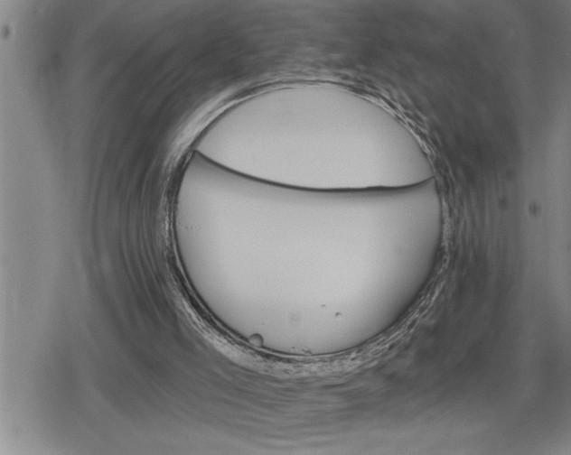 X0000080200005200612221417