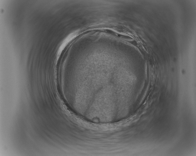 X0000080200006200612221417