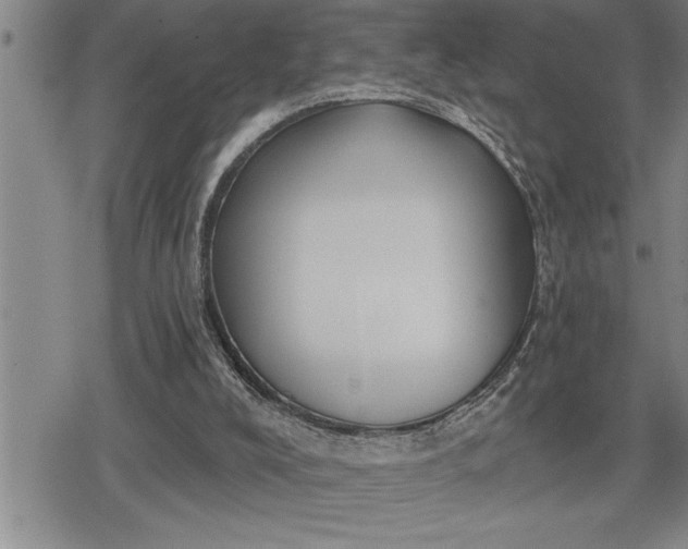 X0000080200008200612221417