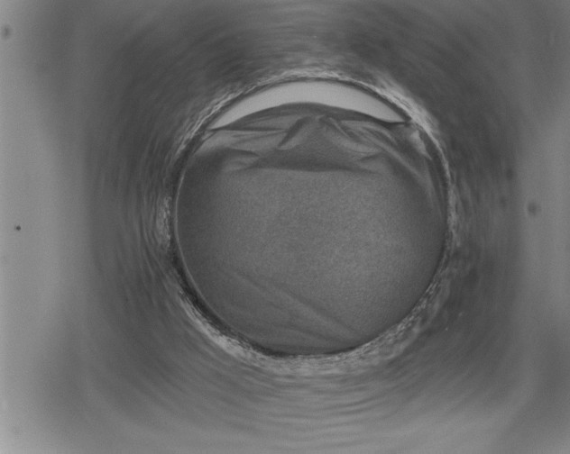 X0000080200009200612221417