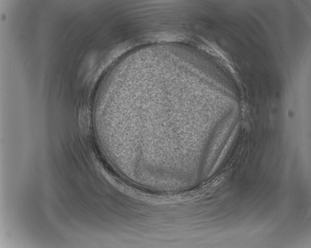 X0000080200012200612221417